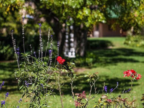 Chartwell Castle & Guest House ภายนอก รูปภาพ